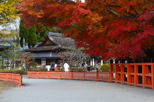 神前式で人気の神社5選