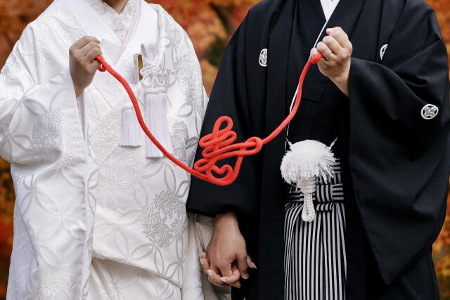 写真は使う？使わない？選び方のコツ